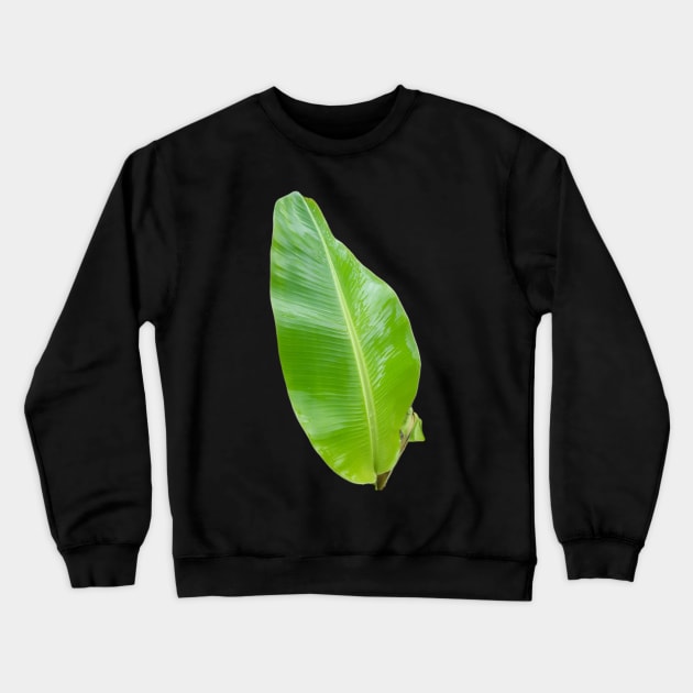 One green banana leaf cut out. Crewneck Sweatshirt by kall3bu